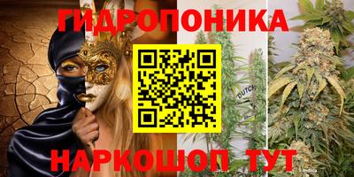 СК Тосно