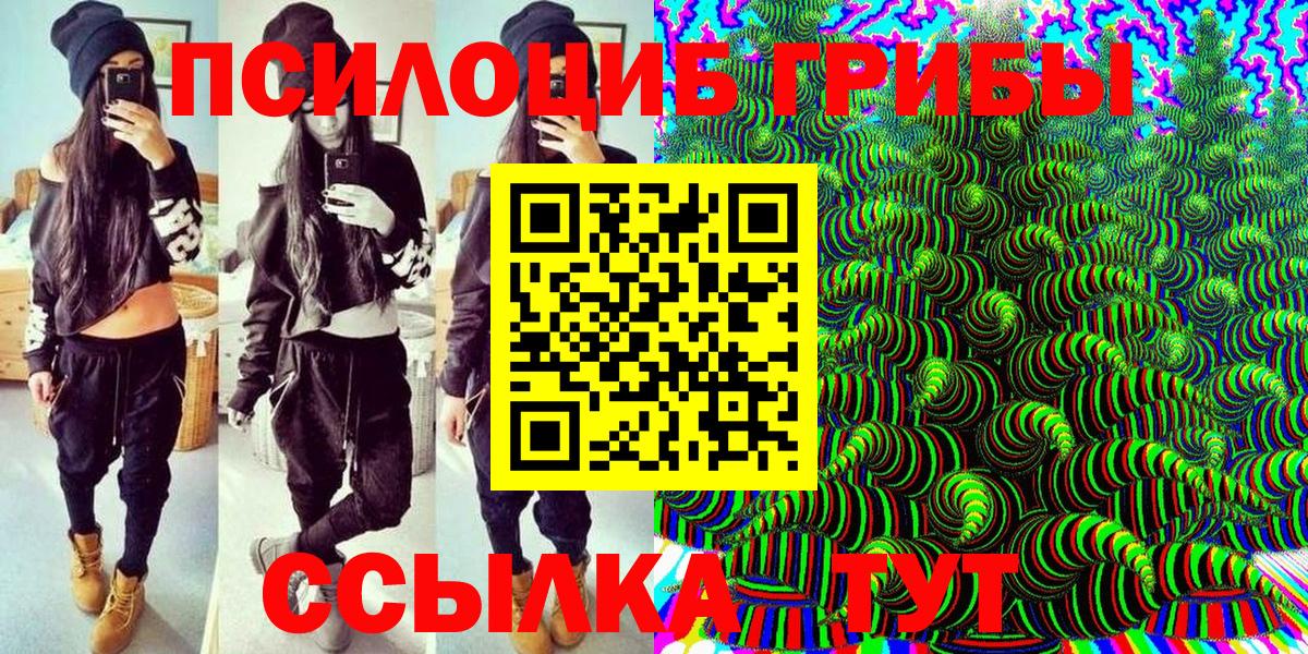 Псилоцибиновые грибы прущие грибы  где продают наркотики  Дивногорск  Вход с VPN 