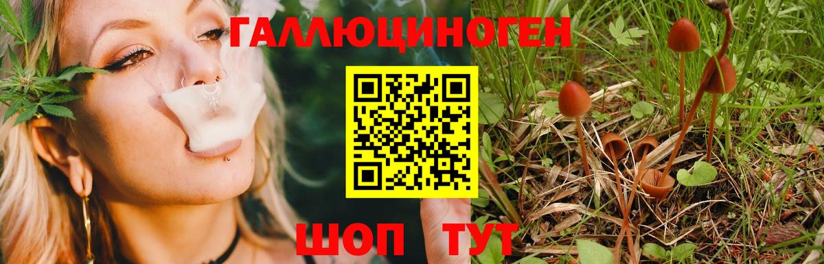 Галлюциногенные грибы Cubensis Дивногорск